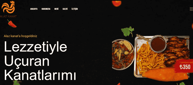 Alaz Kanat için tasarlanan profesyonel web sitesi ekran görüntüsü