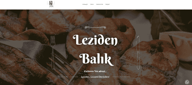 Leziden balık için tasarlanan profesyonel web sitesi ekran görüntüsü